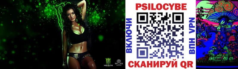 shop как зайти  Заречный  Галлюциногенные грибы Cubensis  где продают наркотики 